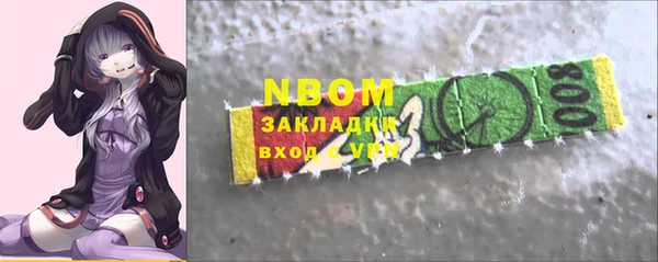 шишки Приозерск