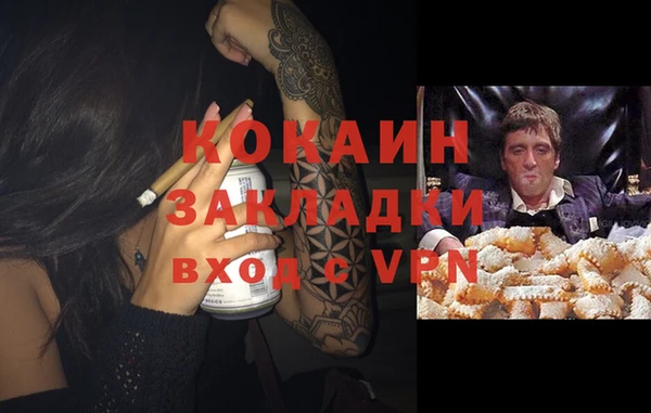 ПСИЛОЦИБИНОВЫЕ ГРИБЫ Аркадак