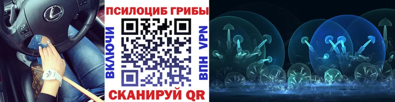 Галлюциногенные грибы GOLDEN TEACHER  где найти   Оса 